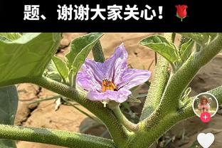 登顶！梅西传射+世界波苏神制胜 迈阿密3-2堪萨斯城暂登顶东部